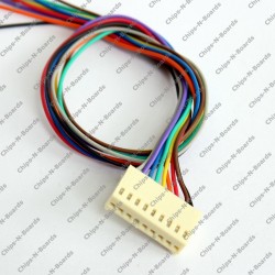8 Pin Polarized Header Cable - female