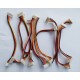 6 Pin Dual Polarized Header Cable Female, Pitch 2.54mm, Length 15cm - Robust Connector Solution for Electronic Prototyping